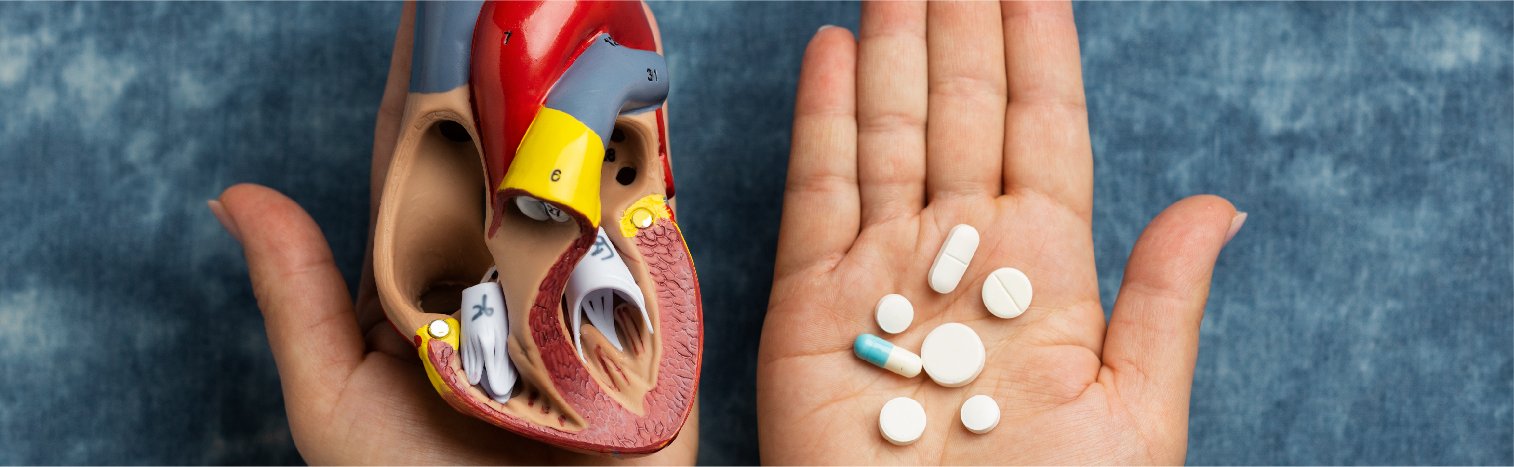 Internal Medicine